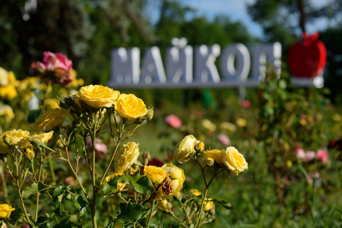 Фотографии.